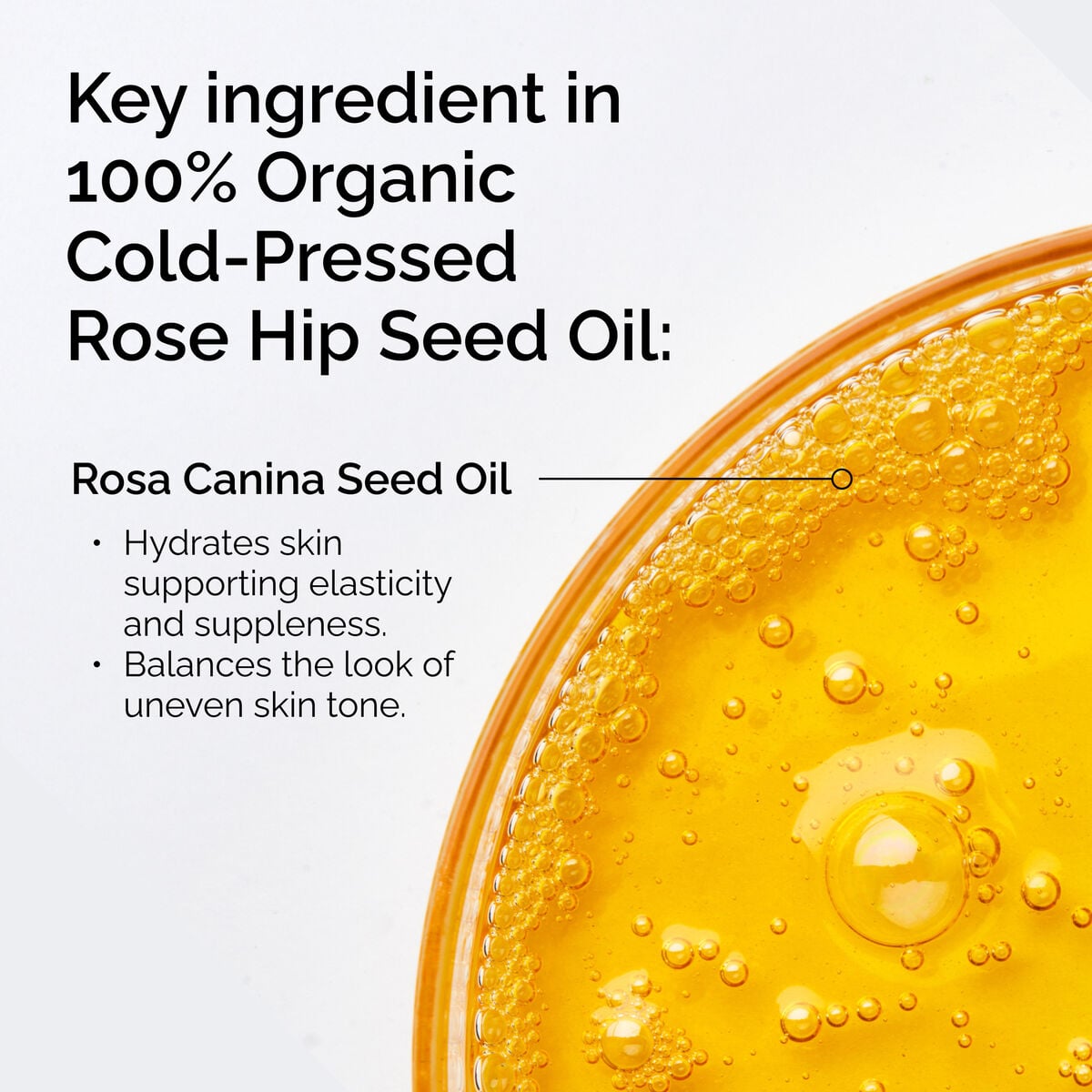 100-organic-cold-pressed-rose-hip-seed-oil-t2 FY25-D41247-ORD-Web-PDP-100-Rose-Hip-Oil-1x1-EN-2.jpg