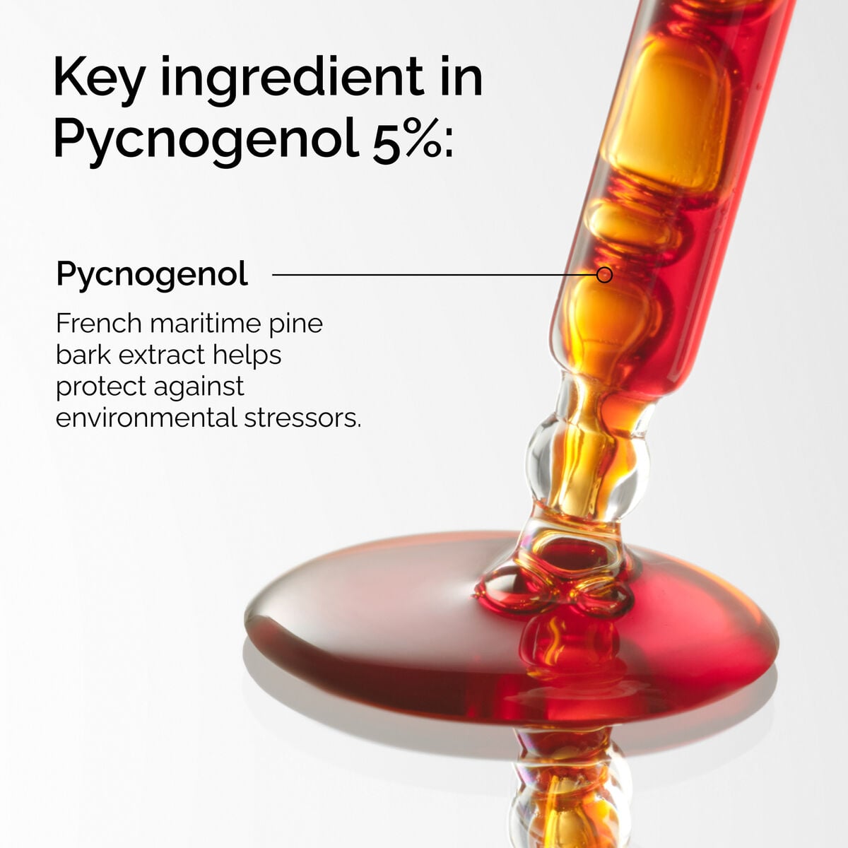 pycnogenol-5-t6 FY25-D41247-ORD-Web-PDP-Pyc-5pct-1x1-EN-2a.jpg