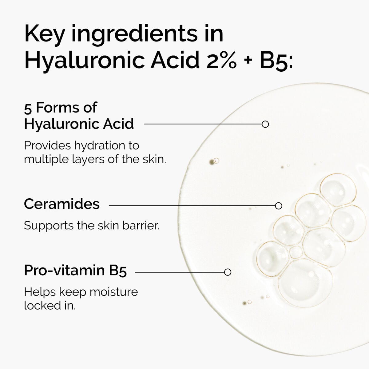 hyaluronic-acid-2-b5-with-ceramides-k2 ord-hyaluronic-acid-2pct-b5-hydrating-serum-ingredients-graphic.jpg