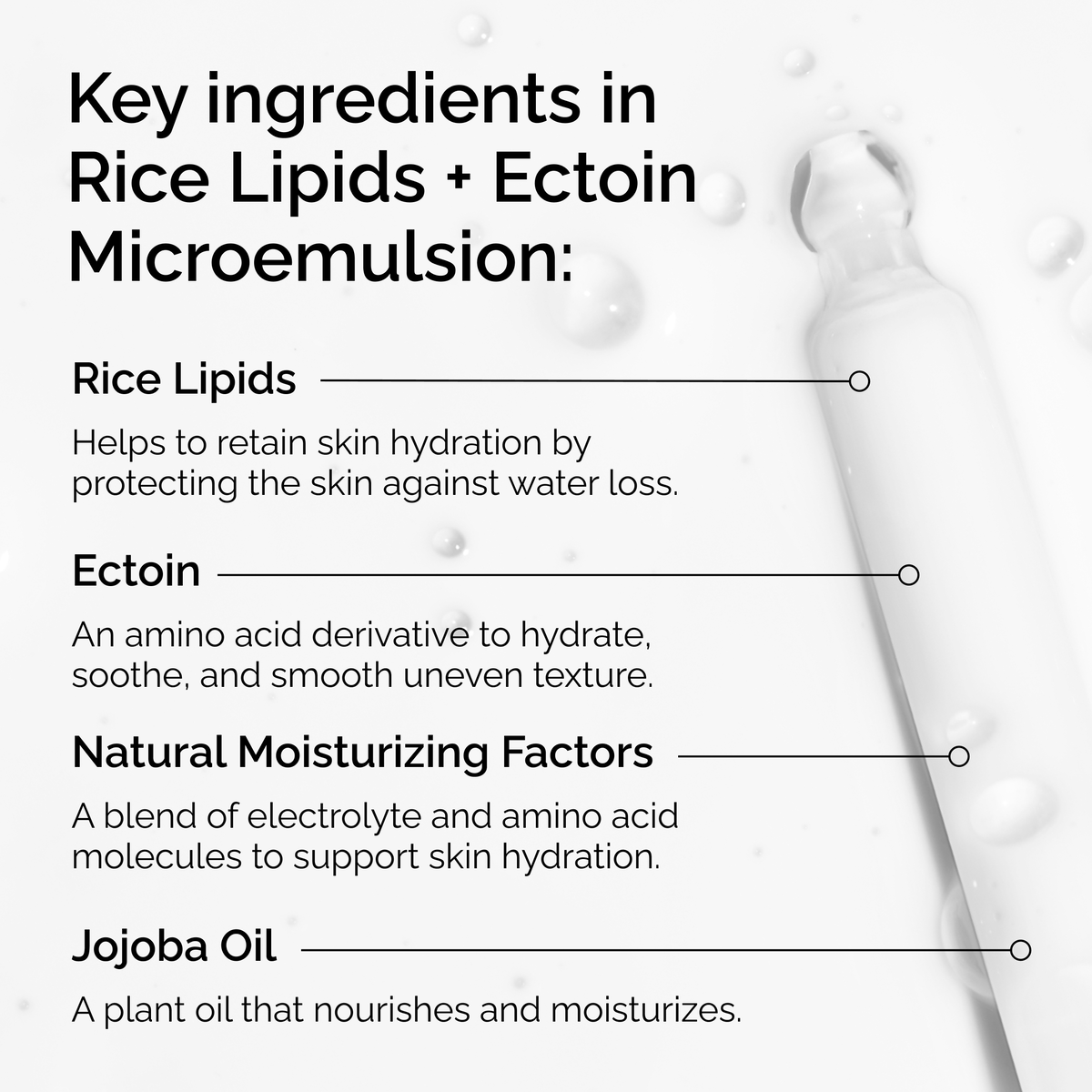 rice-lipids-ectoin-microemulsion-m6 ord-rice-lipids-ectoin-microemulsion-key-ingredients.png