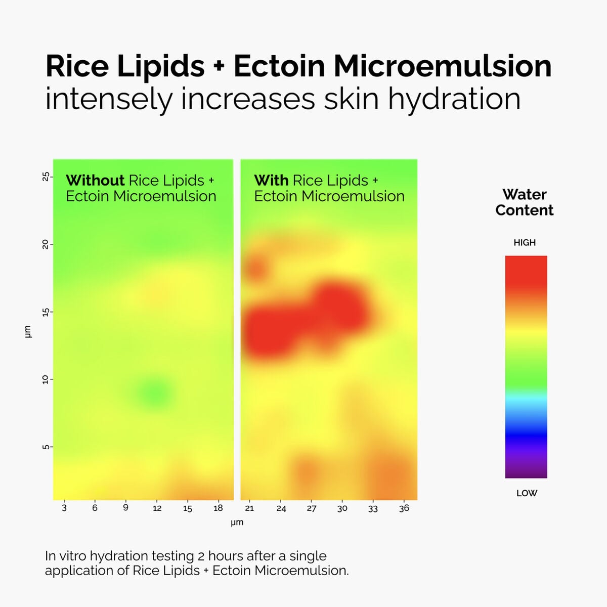 rice-lipids-ectoin-microemulsion-m6 ord-rice-lipids-ectoin-microemulsion-thermal-before-after.jpg